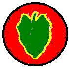 24th Infantry Division shoulder
patch