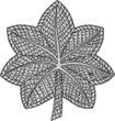 silver Lieutenant Colonel rank insignia