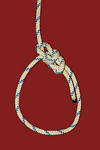 bowline