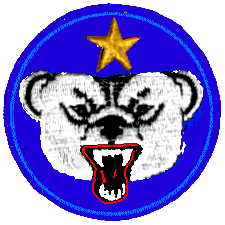 USARAL patch