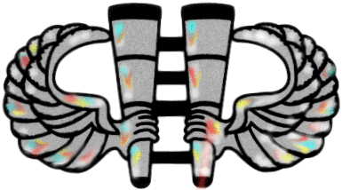 LRSD badge of the
Vietnam-era