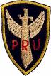 Provincial Reconnaissance Unit
of Phoenix