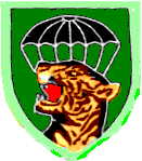 shoulder patch of Mike Force
Command (5SFGA)