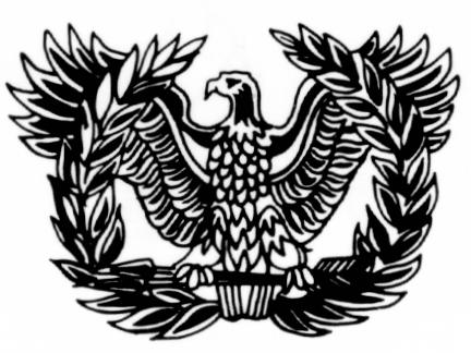 Army Warrant Officer cap
badge