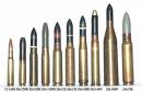 an array of rifle ammunition