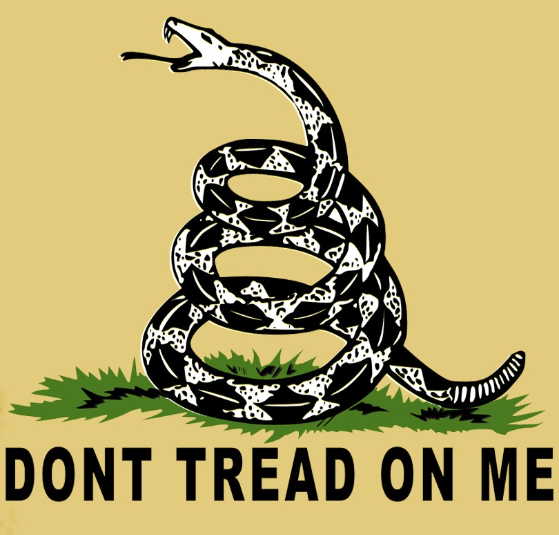 rattlesnake motif of Don't Tread On Me flag.
