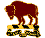 distinctive unit insignia of
10th Cavalry Regiment
