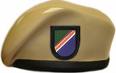 tan beret with flash of 75th
Ranger regiment