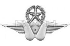 unofficial bush pilot badge