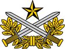 Vietnamese Ranger badge